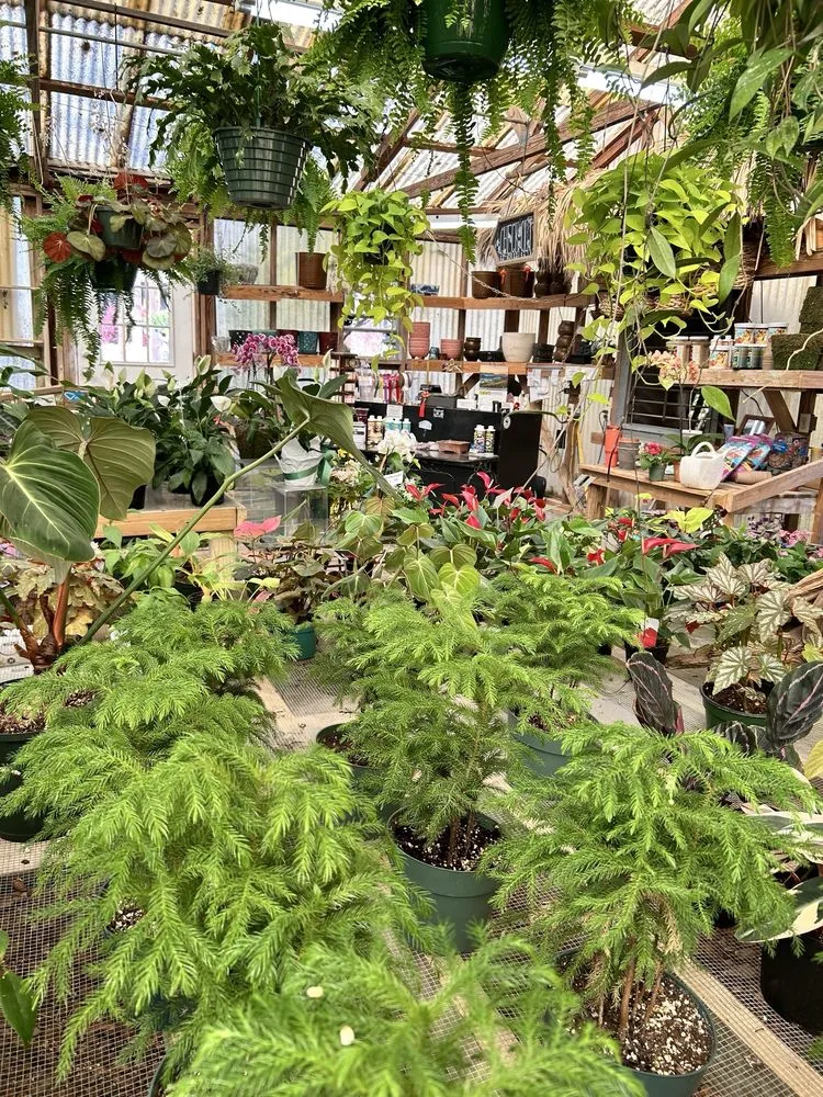 Reliable outdoor landscaping experts serving West Columbia, SC - Jarrett's Jungle