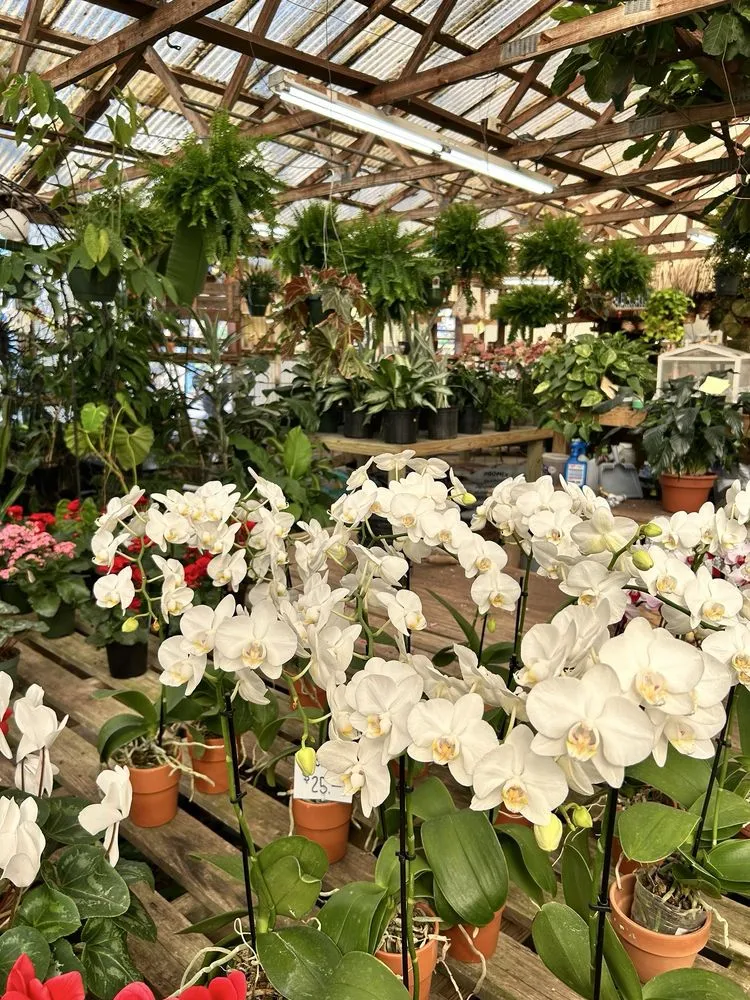 Local lawn mowing service with custom design across West Columbia, SC - Jarrett's Jungle