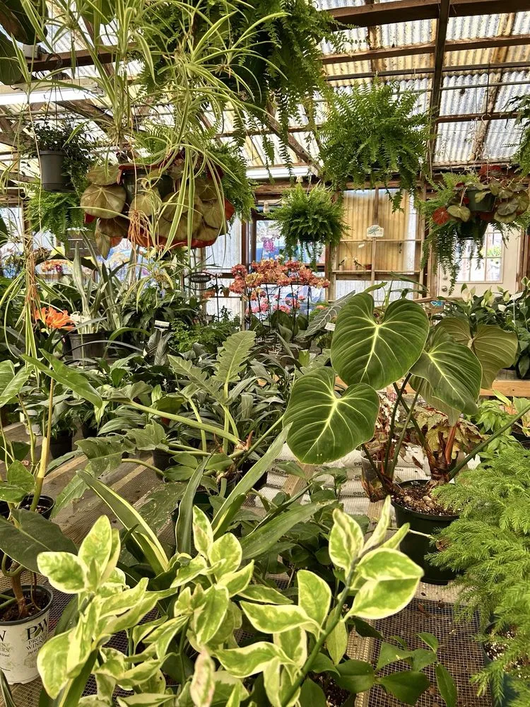 Trusted residential landscaping experts serving West Columbia, SC - Jarrett's Jungle