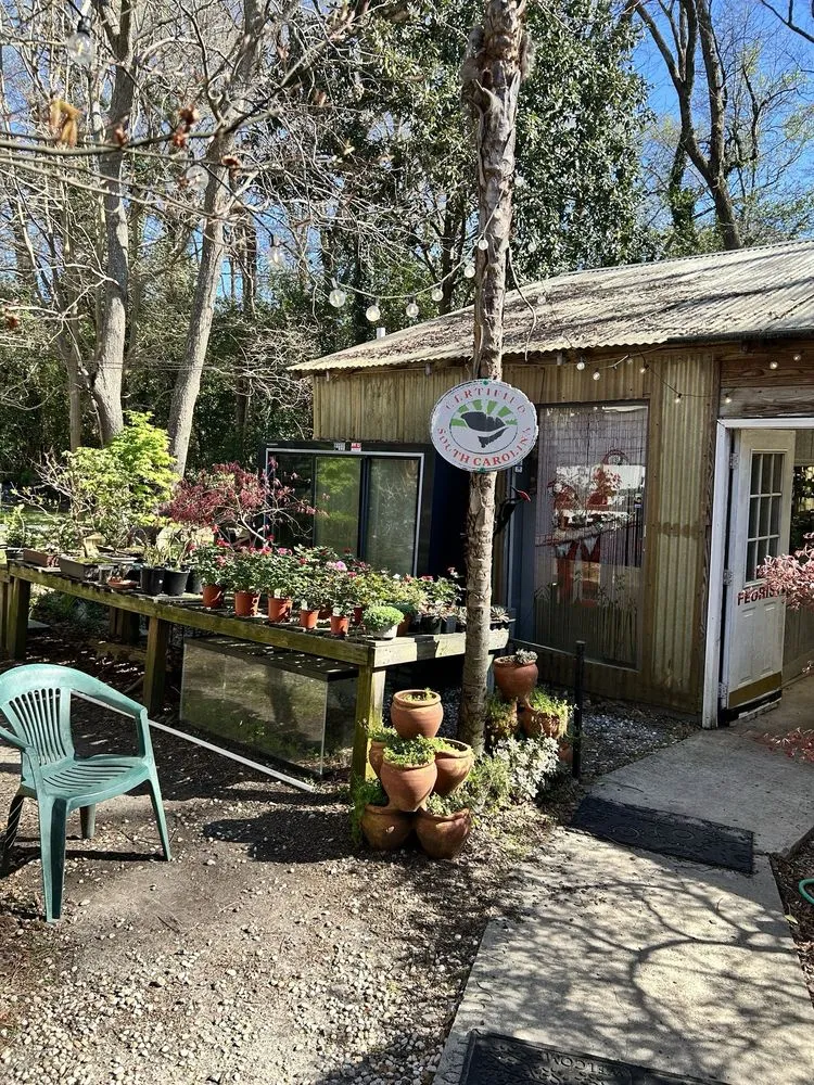 Professional yard maintenance for outdoor upgrades across West Columbia, SC - Jarrett's Jungle