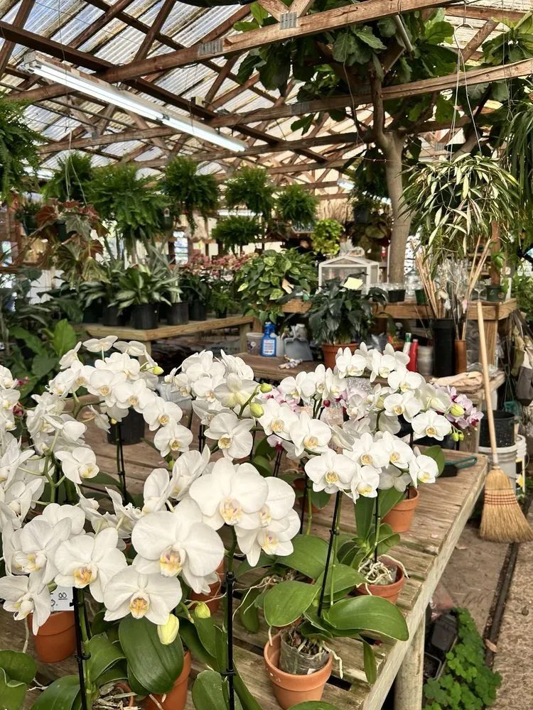 Affordable landscape installation in West Columbia, SC by Jarrett's Jungle