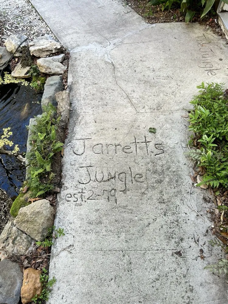 Expert yard cleanup service for beautiful yards across West Columbia, SC - Jarrett's Jungle