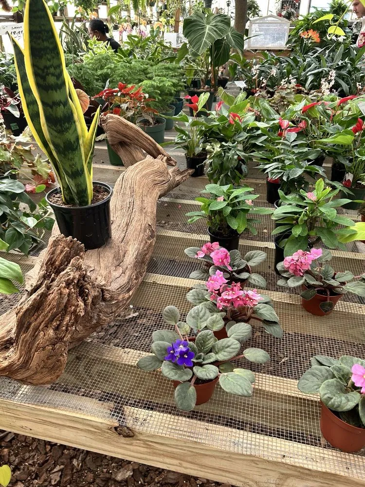 Local outdoor landscaping for beautiful yards in West Columbia, SC by Jarrett's Jungle