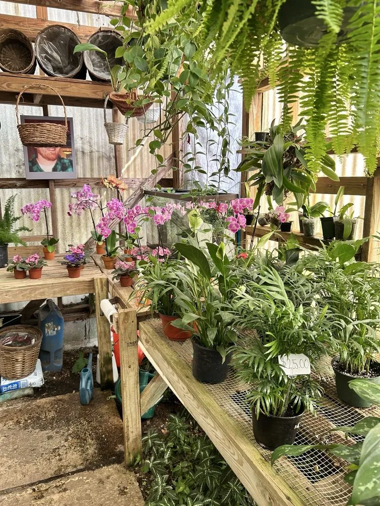 Local lawn care service for year-round maintenance across West Columbia, SC - Jarrett's Jungle