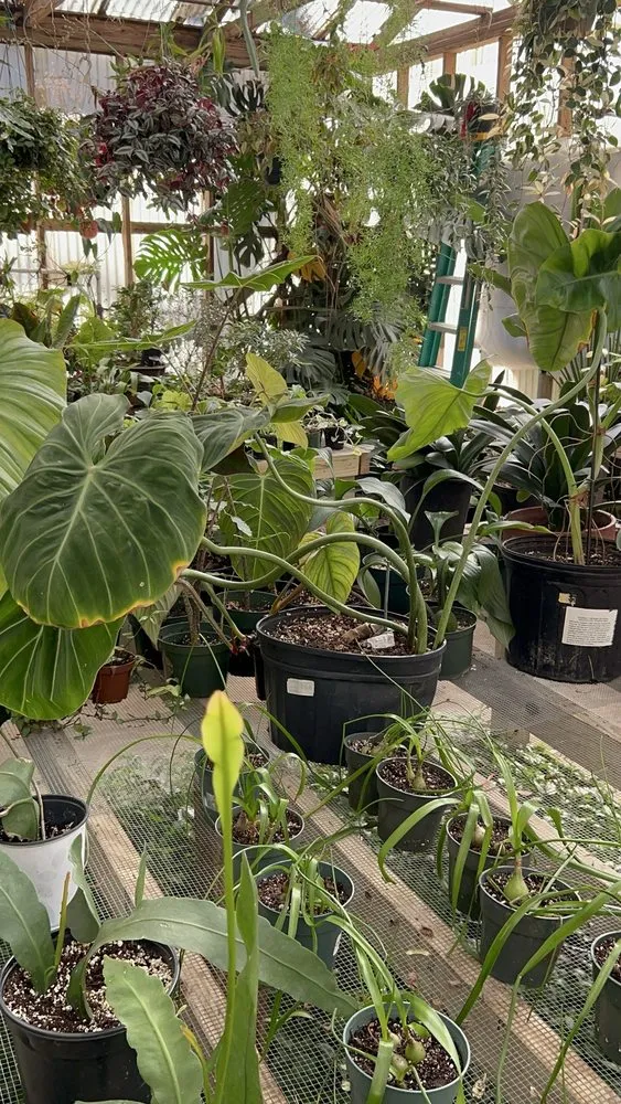 Affordable outdoor landscaping experts serving West Columbia, SC - Jarrett's Jungle