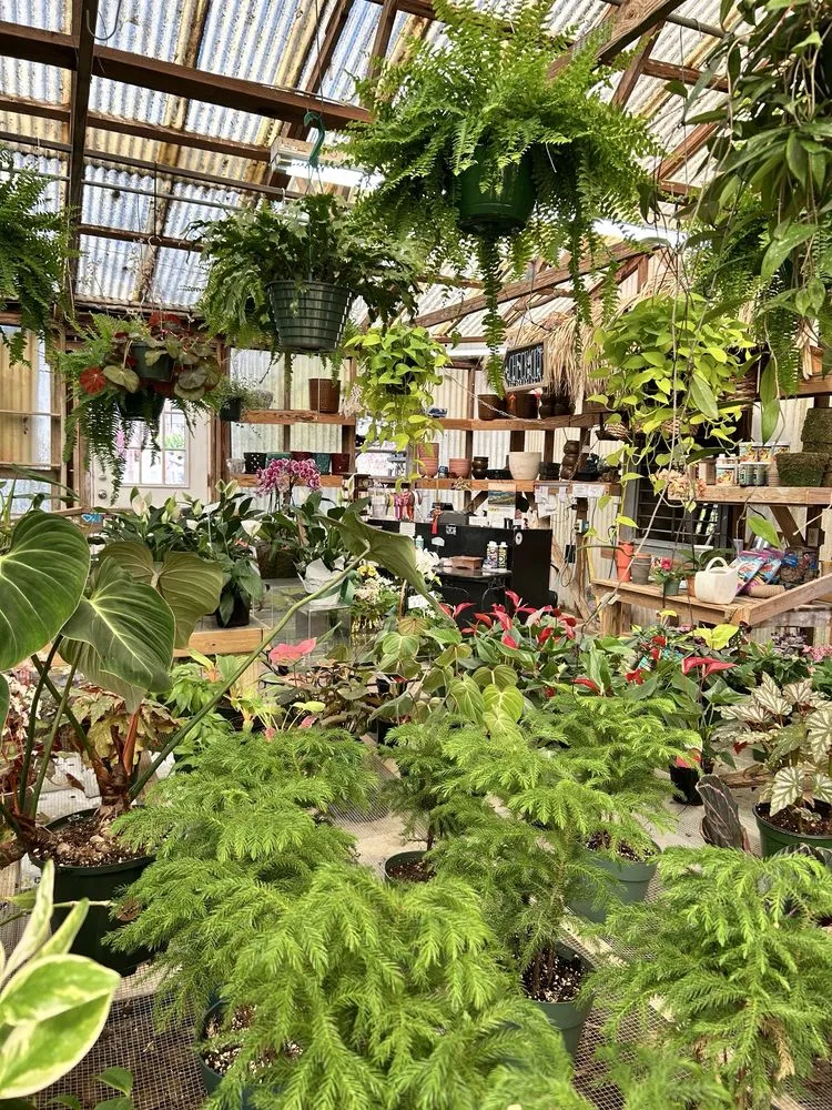 Expert residential landscaping experts serving West Columbia, SC - Jarrett's Jungle