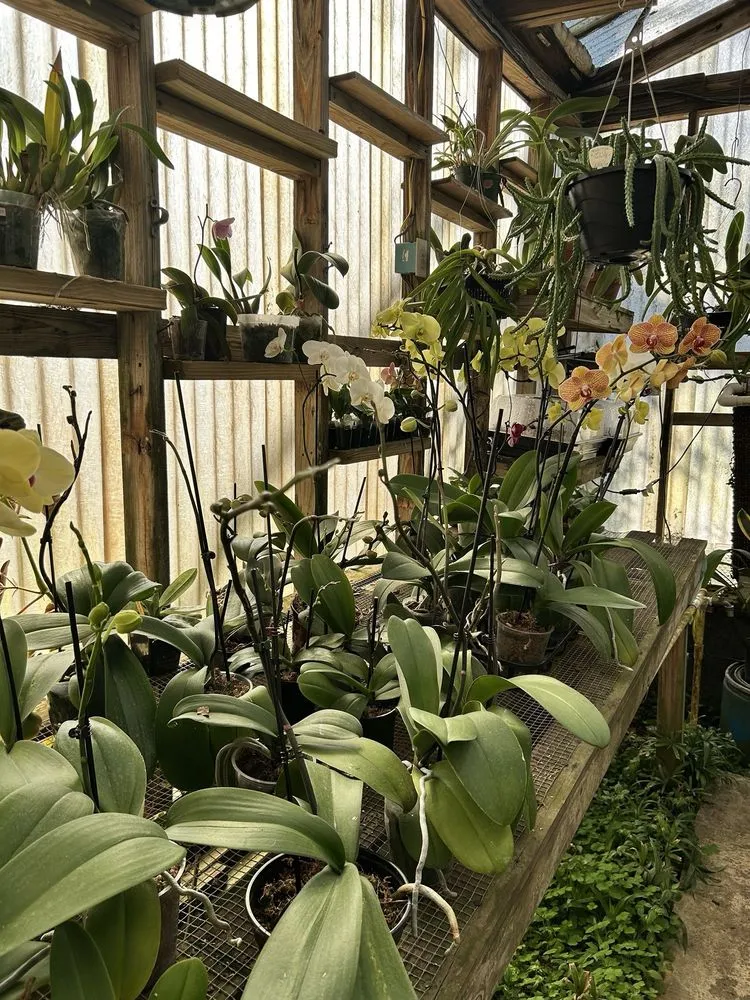 Reliable yard maintenance in West Columbia, SC - Jarrett's Jungle