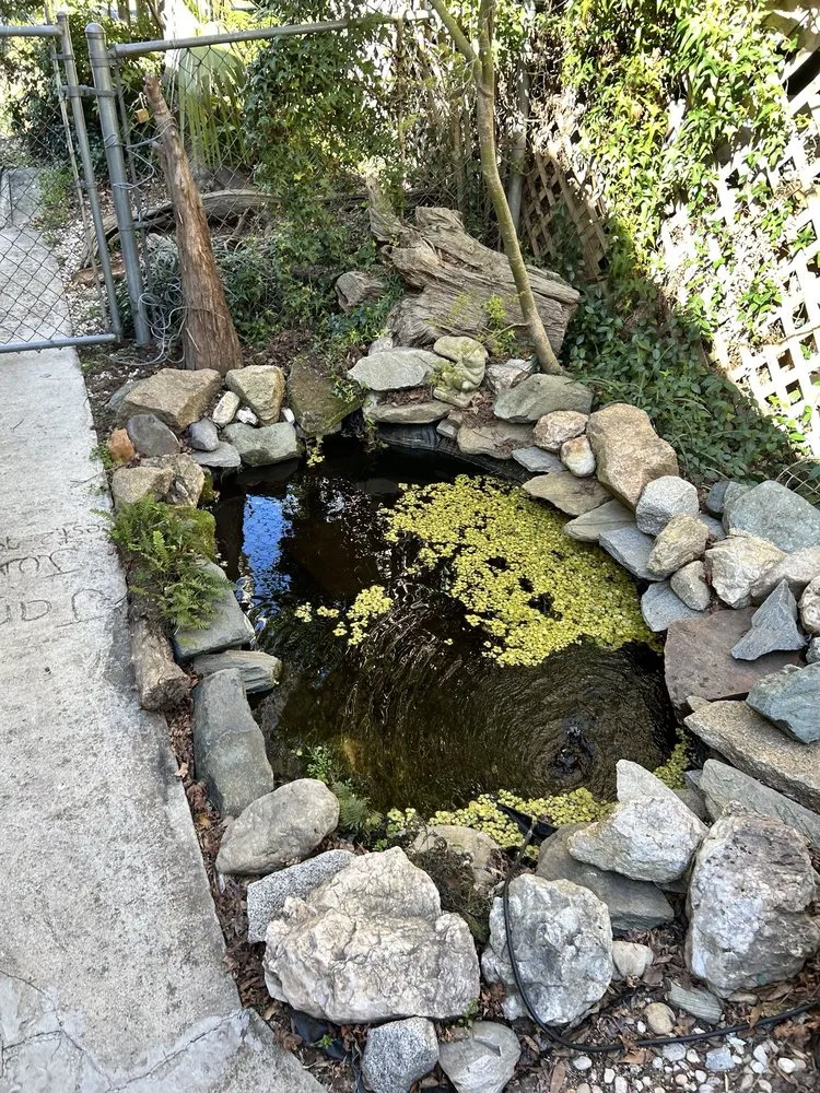 Trusted lawn care service in West Columbia, SC - Jarrett's Jungle