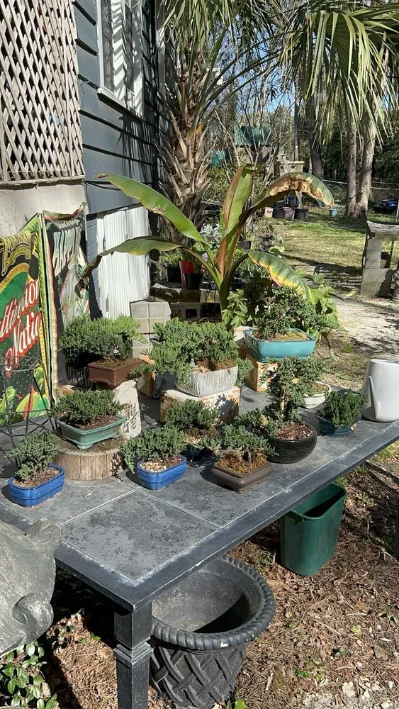 Reliable residential landscaping near you in West Columbia, SC by Jarrett's Jungle