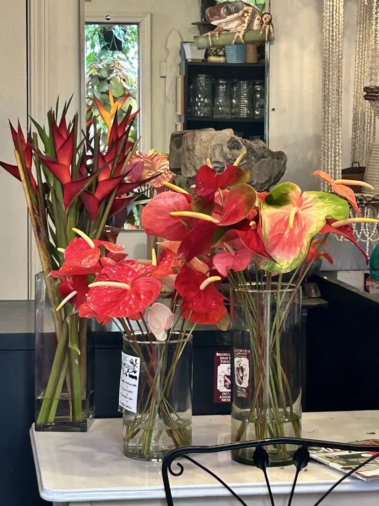 Custom residential landscaping in West Columbia, SC - Jarrett's Jungle