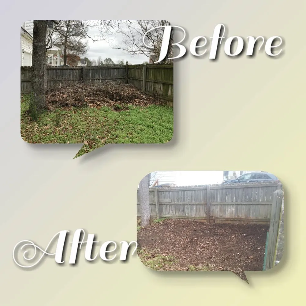 Top-rated landscape installation in Selma, NC - Jas Affordable Solutions