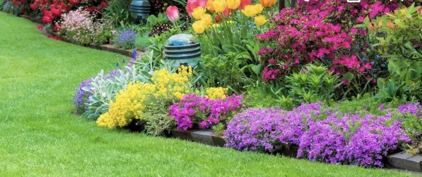 Affordable yard maintenance in Eastvale, CA - Jas Landscaping & Irrigation