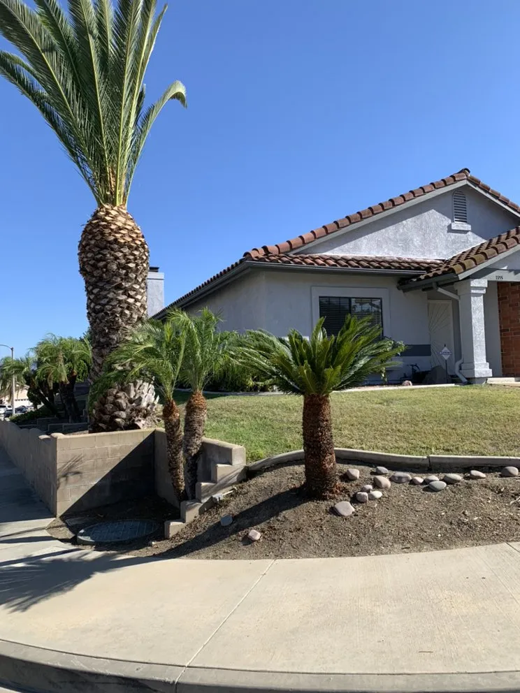 Trusted landscape design for beautiful yards across Eastvale, CA - Jas Landscaping & Irrigation