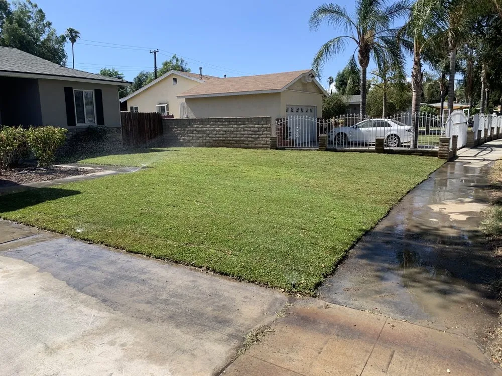 Custom yard cleanup service in Jurupa Valley, CA - Jasdeep’S Landscaping & Irrigation