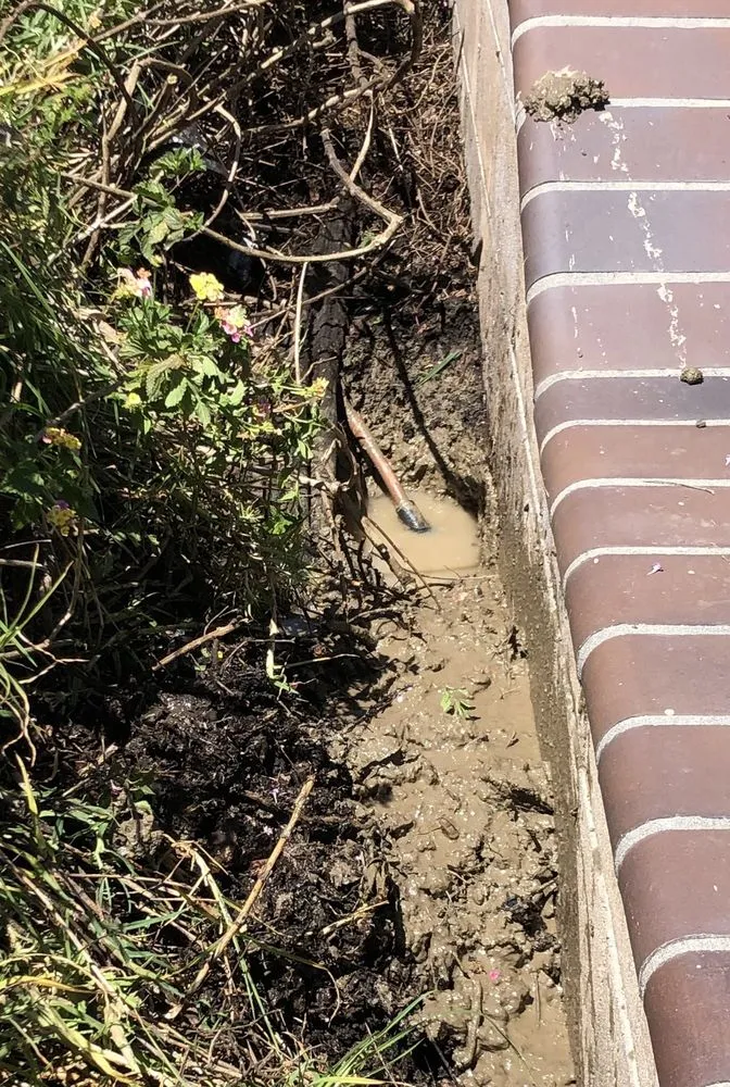 Reliable landscaping services near you in Jurupa Valley, CA by Jasdeep’S Landscaping & Irrigation