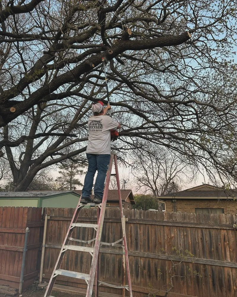 Custom yard maintenance in Graham, TX - Jasen’s Lawn Service