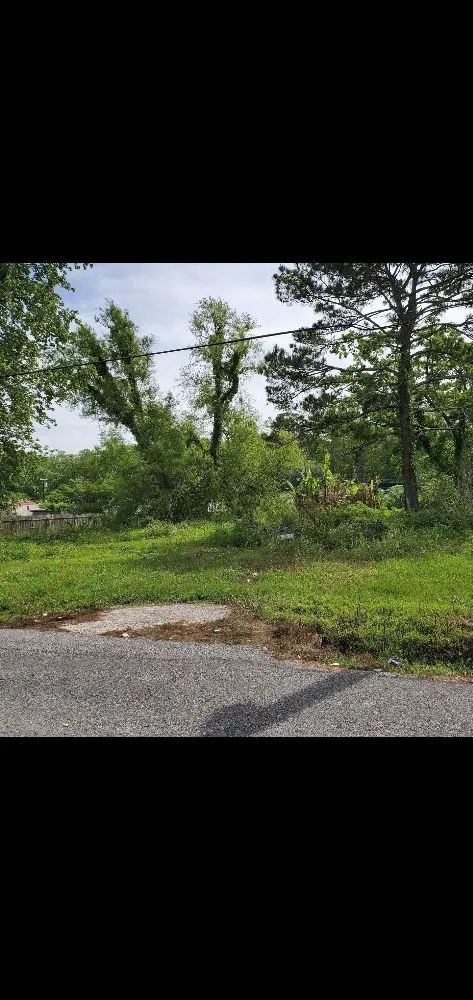 Local landscaping services experts serving Morgan City, LA - J.Ashley Service Solutions