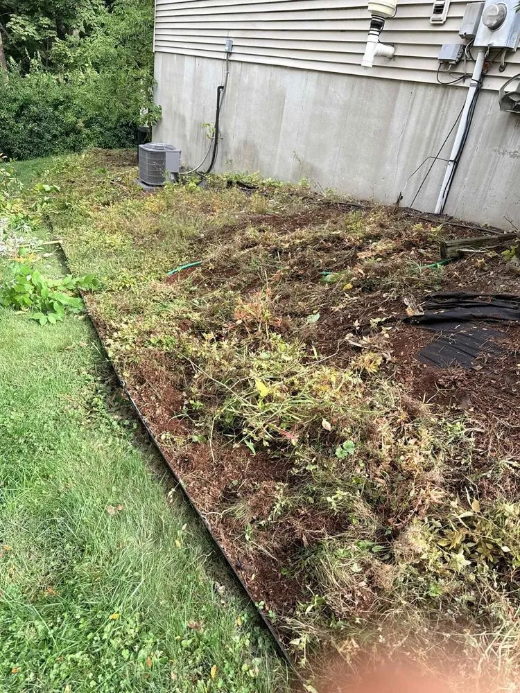 Professional landscaping services in Poughkeepsie, NY by Jasi Landscaping