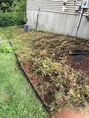 Jasi Landscaping Logo