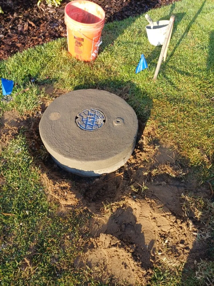 Professional yard cleanup service in Kissimmee, FL - Jasmag Multi Service