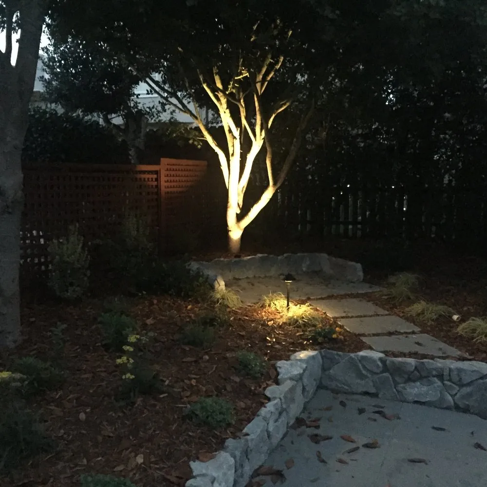 Affordable lawn care service in Novato, CA by Jasmin Landscape