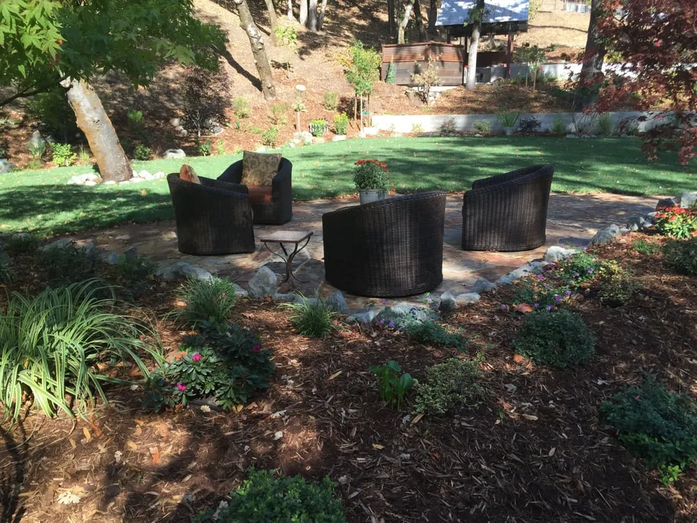 Top-rated landscaping services in Novato, CA - Jasmin Landscape