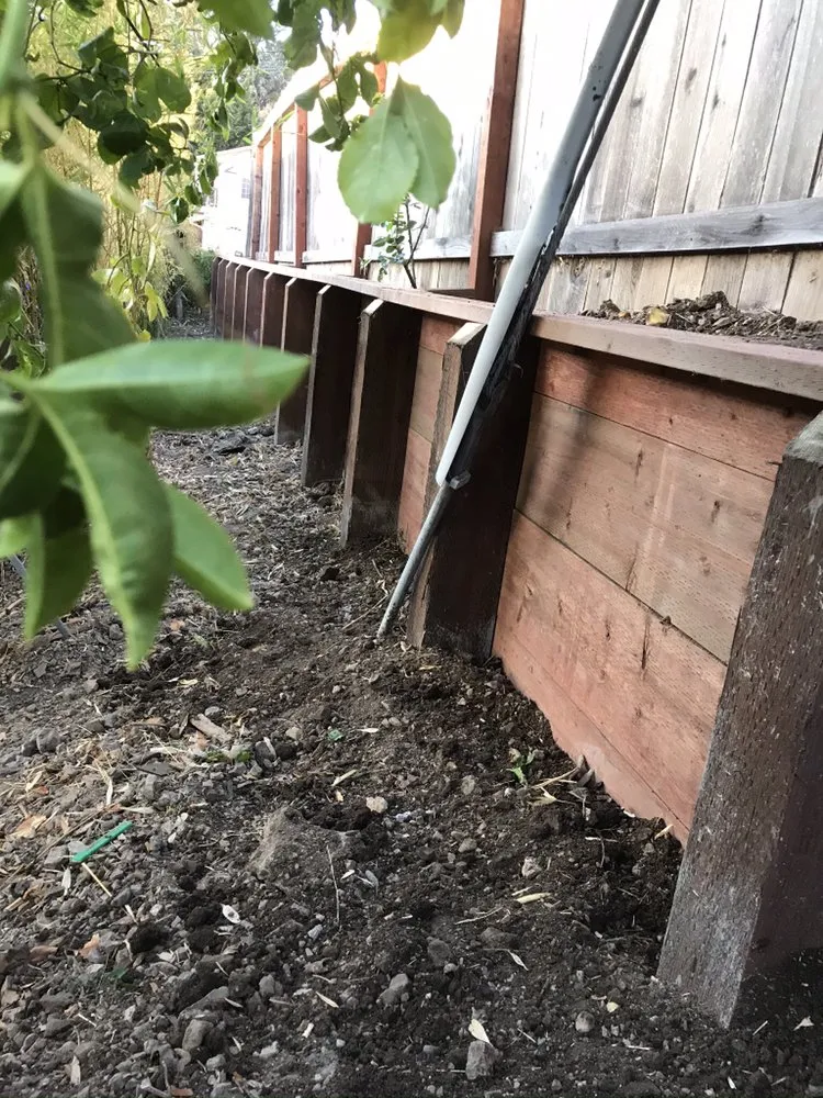 Trusted yard maintenance for residential properties across Pinole, CA - Jasmine Garden Landscaping And Paverstone