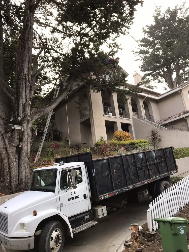 Trusted lawn care service with custom design in Pinole, CA by Jasmine Garden Landscaping And Paverstone