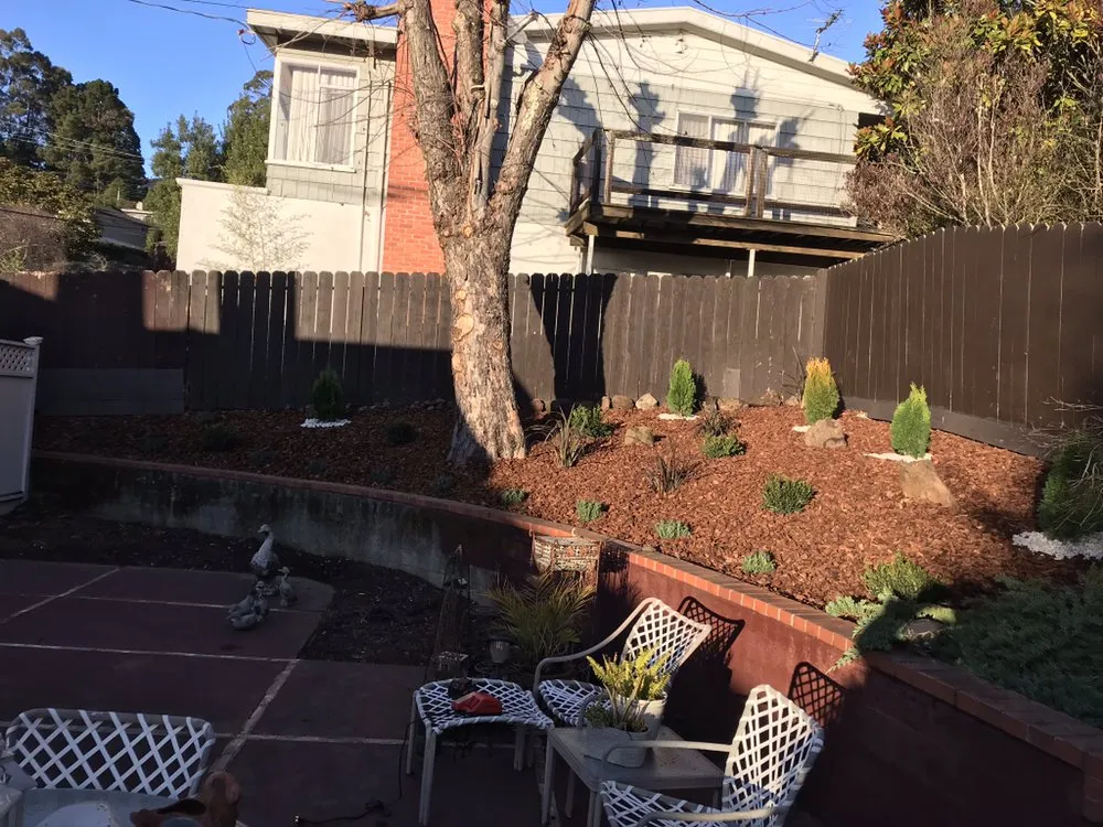 Custom yard cleanup service in Pinole, CA - Jasmine Garden Landscaping And Paverstone