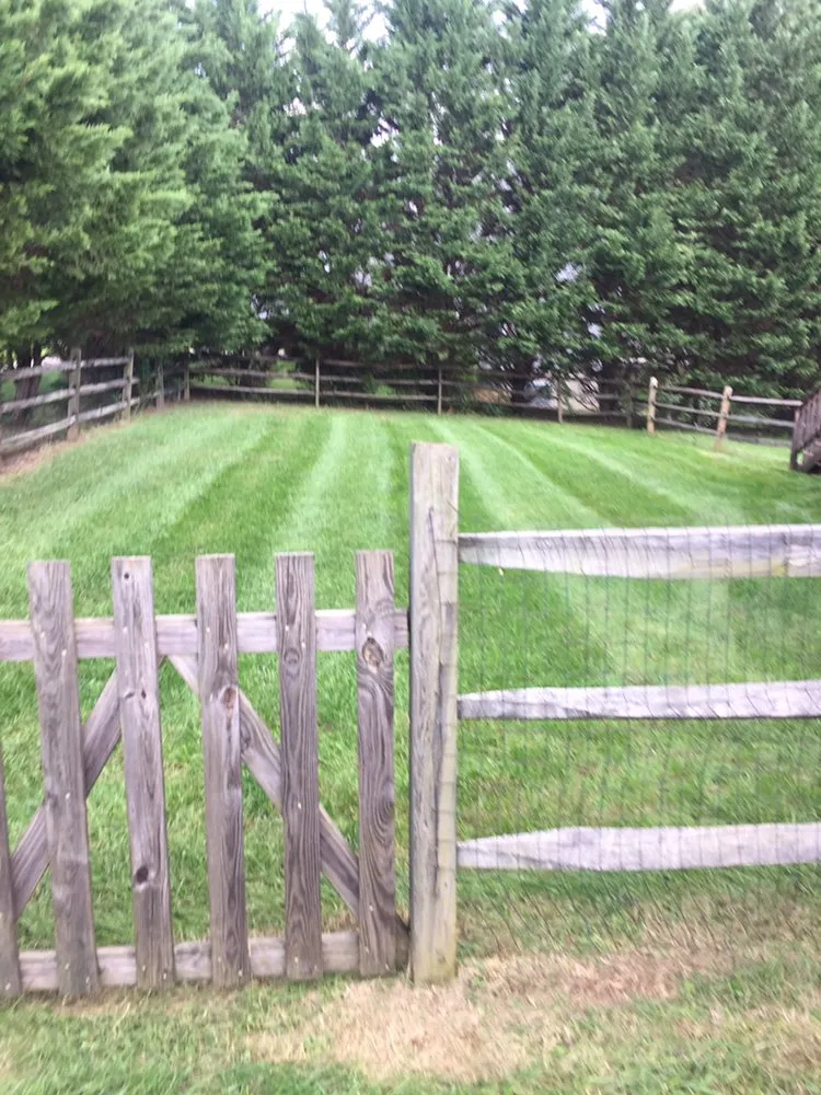 Expert lawn mowing service for year-round maintenance across Elkton, MD - Jasmine Landscapes