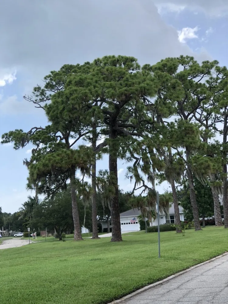 Professional lawn mowing service in Sarasota, FL by Jason & Sons Countreewide Tree Service