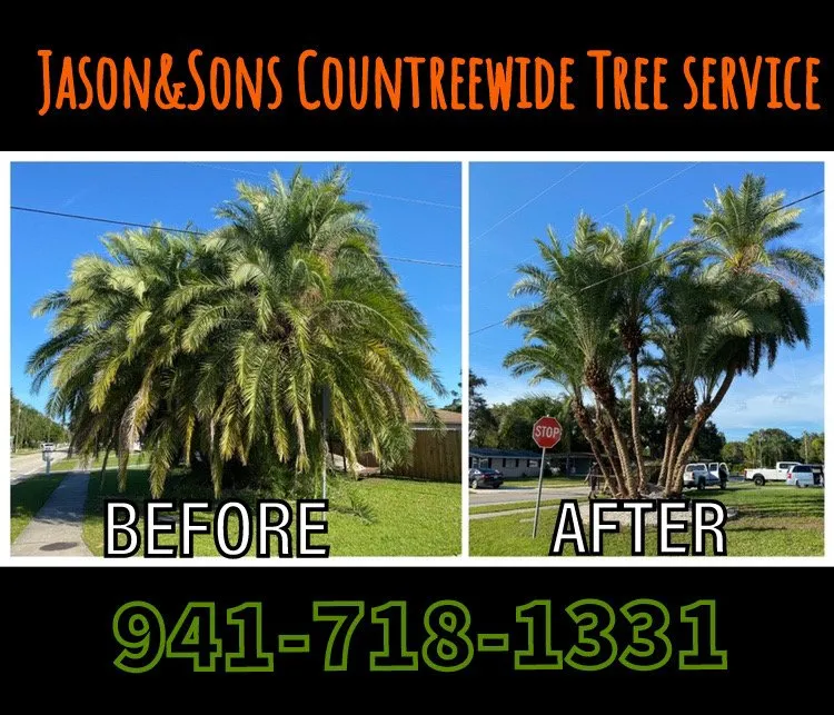 Reliable garden landscaping in Sarasota, FL - Jason & Sons Countreewide Tree Service