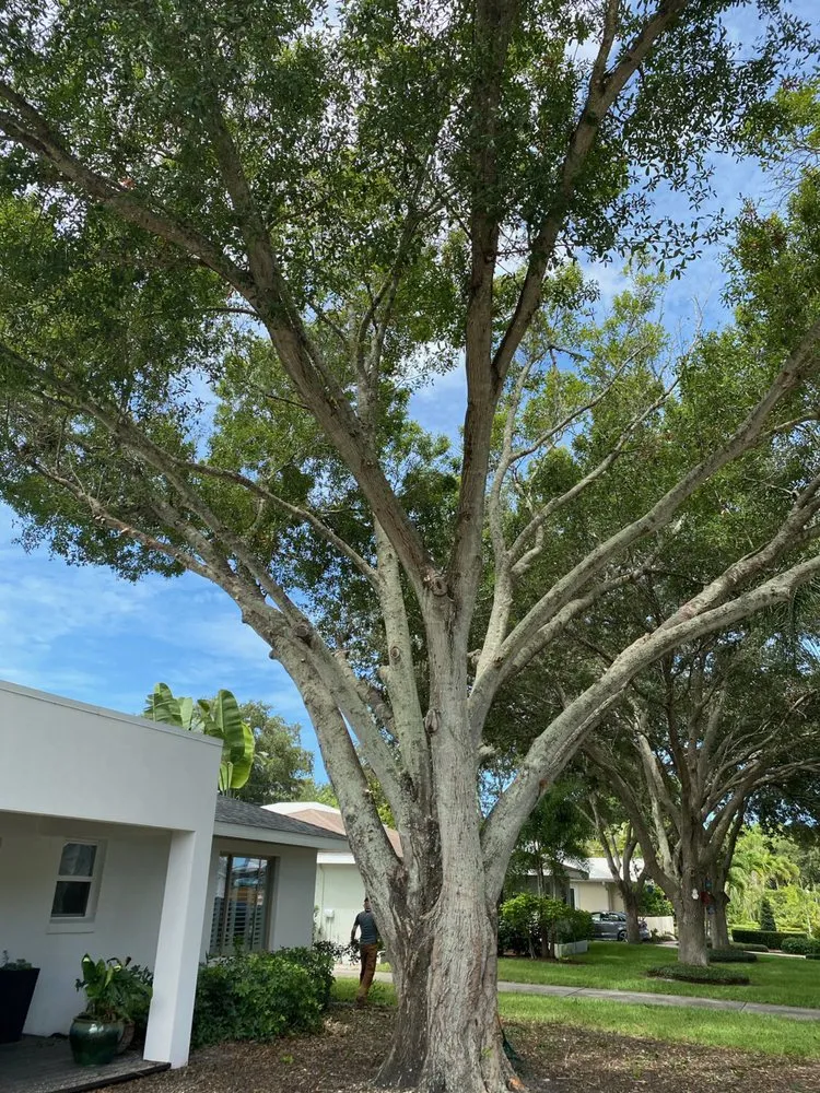 Affordable residential landscaping for homes across Sarasota, FL - Jason & Sons Countreewide Tree Service