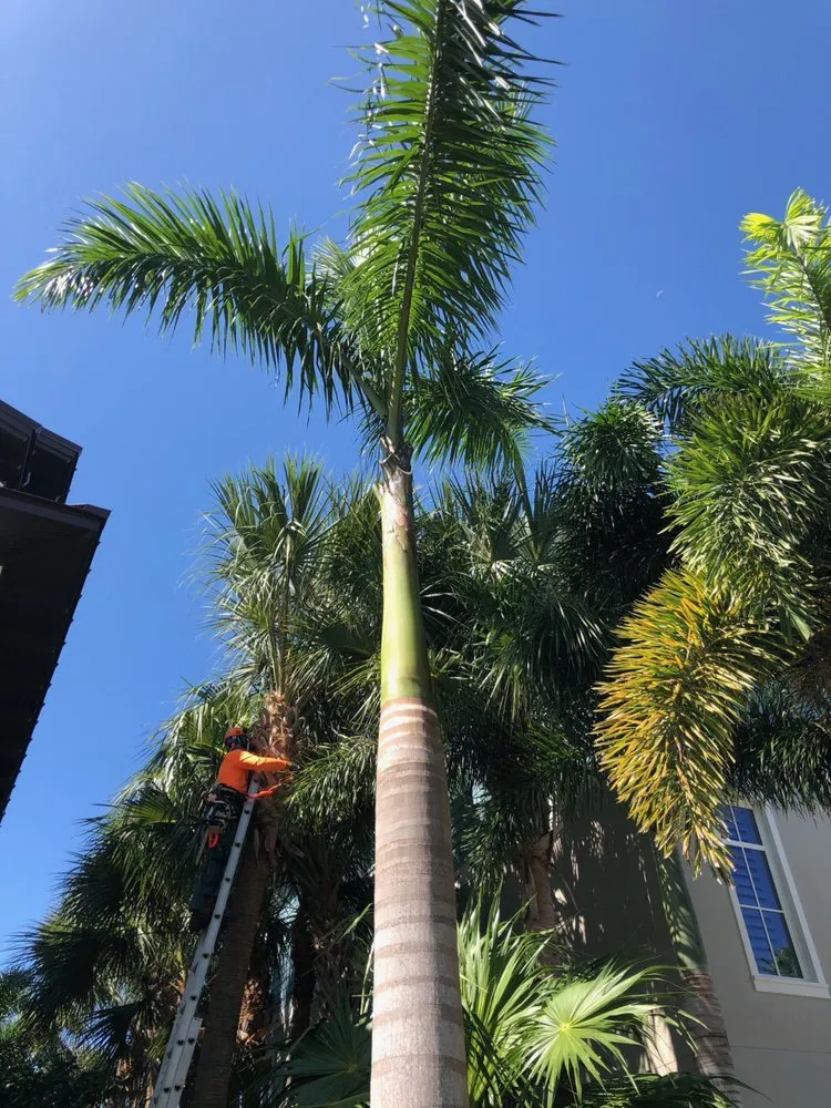Professional landscape installation experts serving Sarasota, FL - Jason & Sons Countreewide Tree Service