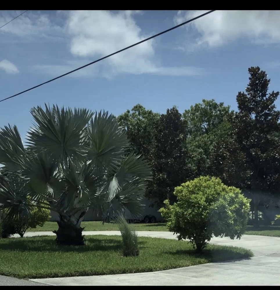 Top-rated landscape installation experts serving Sarasota, FL - Jason & Sons Countreewide Tree Service