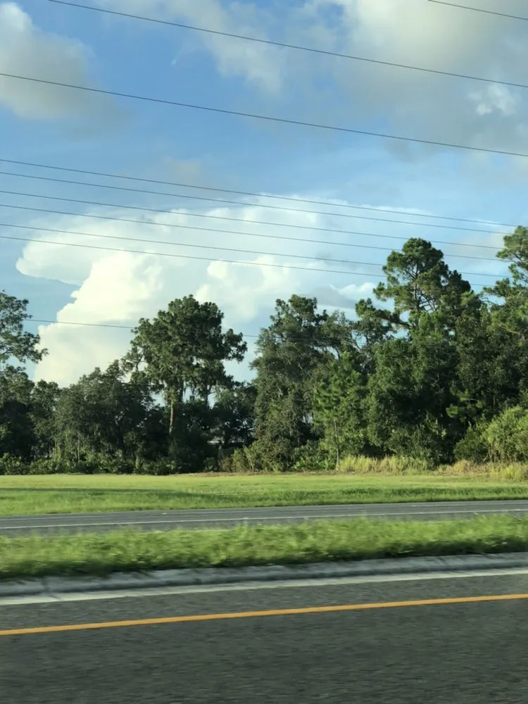 Expert yard cleanup service experts serving Sarasota, FL - Jason & Sons Countreewide Tree Service