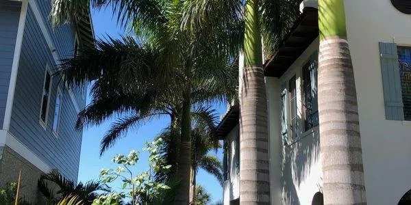 Expert landscape installation for outdoor upgrades in Sarasota, FL by Jason & Sons Countreewide Tree Service