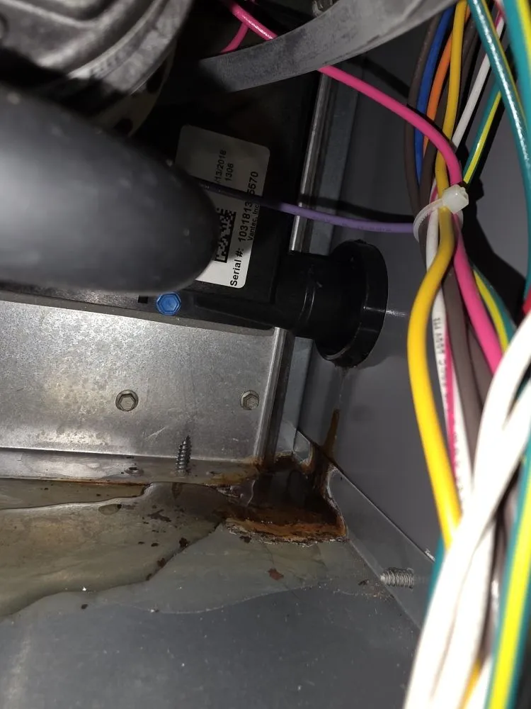 Reliable landscape design in Rock Hill, SC by Jason and Hope Services