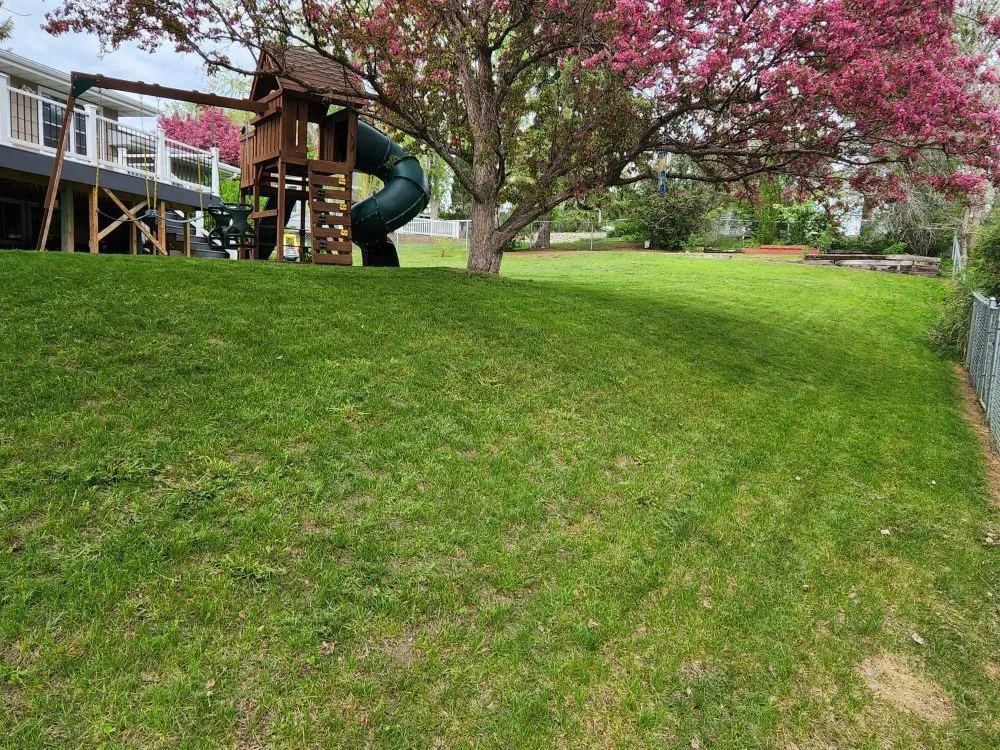 Professional lawn care service for year-round maintenance in Bismarck, ND by Jason and Omars Yard Service