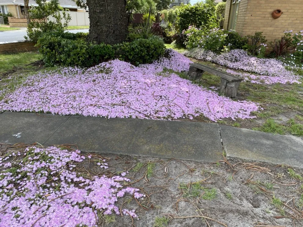 Affordable landscape design in Bayville, NY by Jason Crombie Landscape Garden Maintenance