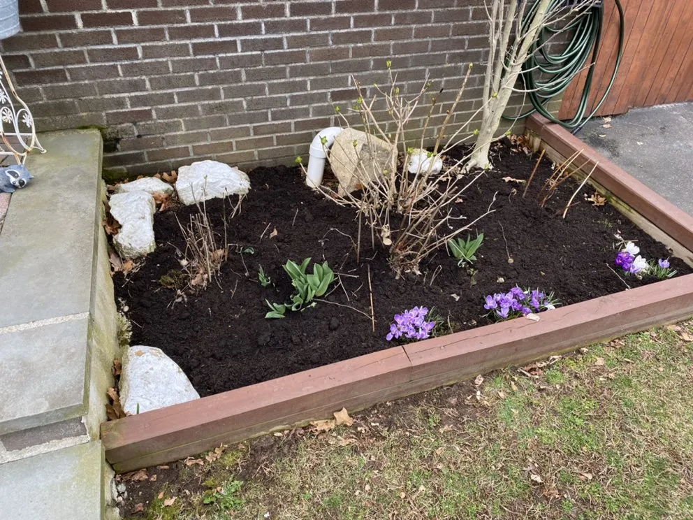 Expert landscaping services for outdoor upgrades in Bayville, NY by Jason Crombie Landscape Garden Maintenance