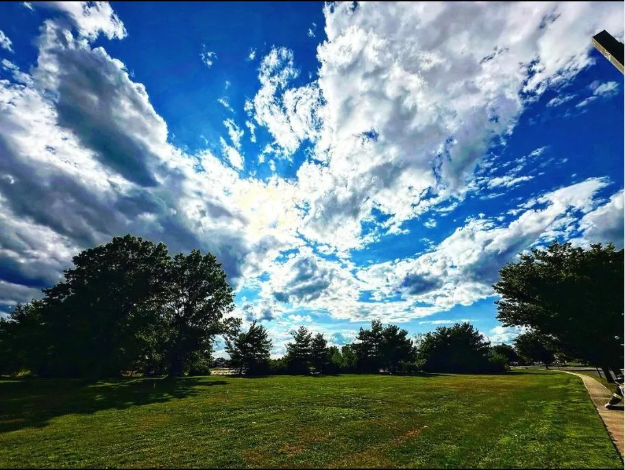 Trusted landscape design in Greenwich, CT by Jason Del Vecchio Landscaping
