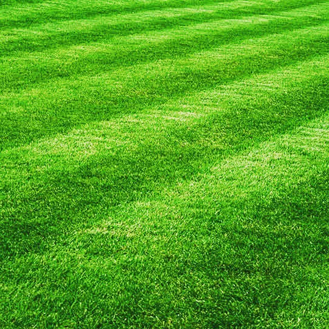 Local residential landscaping in Ithaca, NY - Jason Greenman Plowing and Lawn Mowing