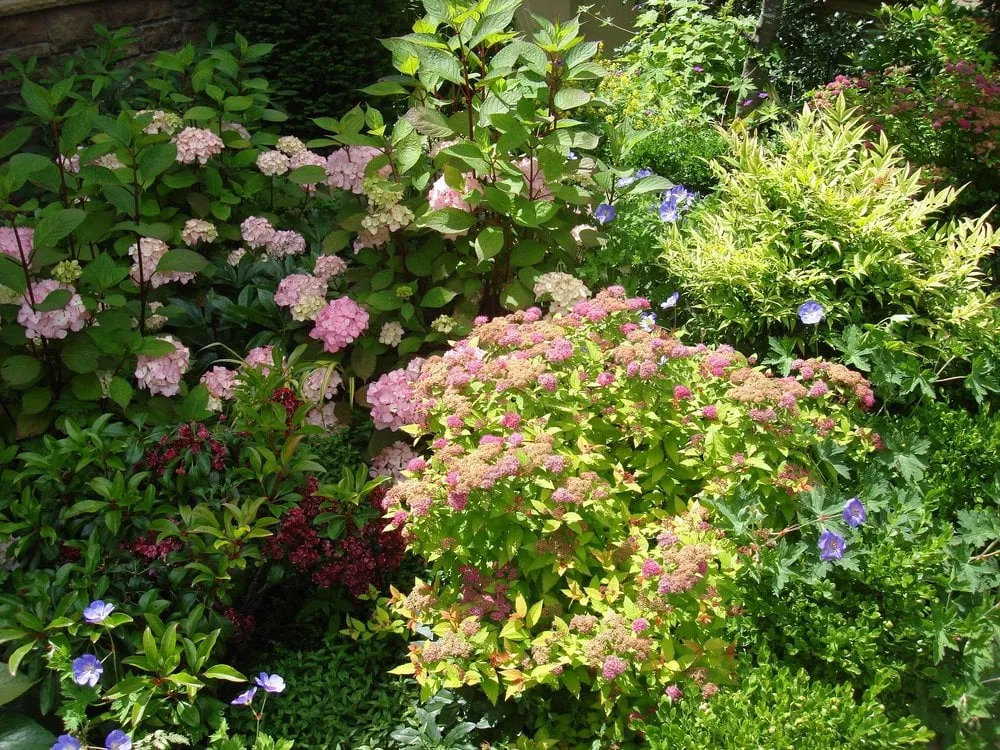 Expert lawn mowing service for homes in Seattle, WA by Jason Kibbey Design & Landscape