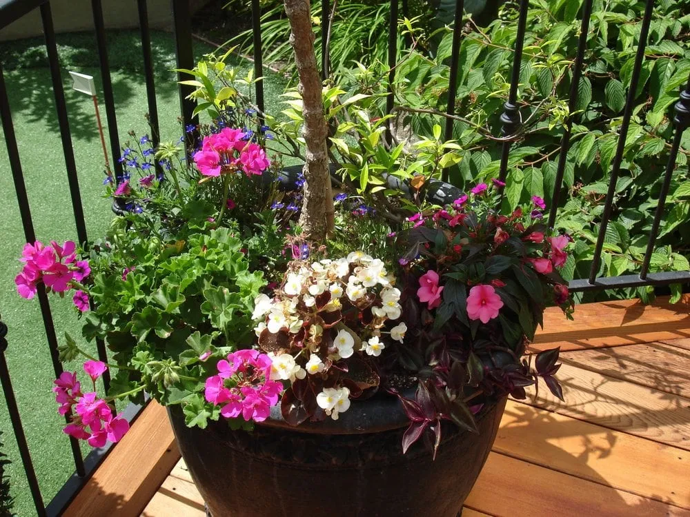 Reliable landscape installation experts serving Seattle, WA - Jason Kibbey Design & Landscape