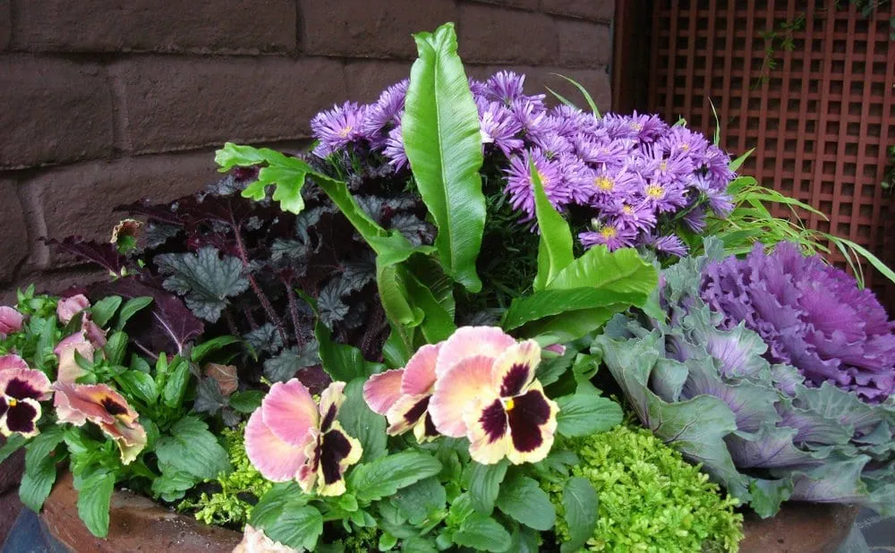 Top-rated yard cleanup service in Seattle, WA - Jason Kibbey Design & Landscape