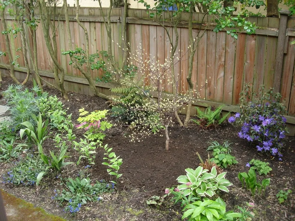 Custom landscape design in Seattle, WA - Jason Kibbey Design & Landscape