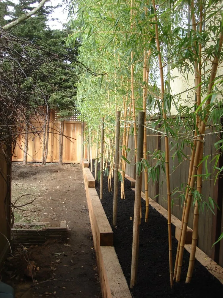 Expert yard maintenance for homes across Seattle, WA - Jason Kibbey Design & Landscape