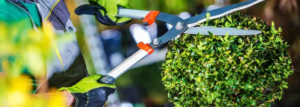 Custom lawn care service experts serving Lynn, MA - Jason Landscaping