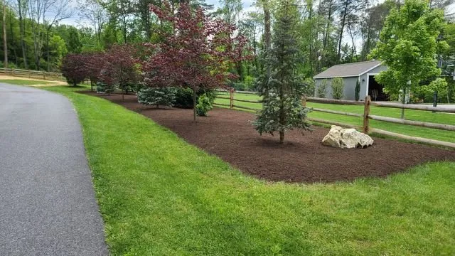 Trusted yard cleanup service experts serving Manchester, MD - Jason Lawn & Landscaping